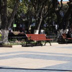 I Slept on This Bench